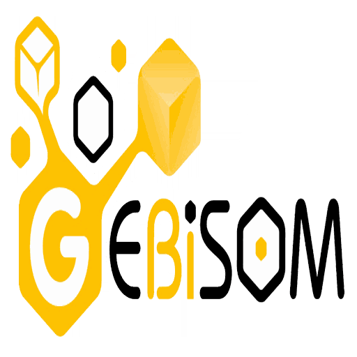 GEBISOM website